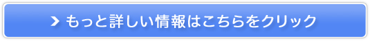 ZY_AuefVJv̔TCg